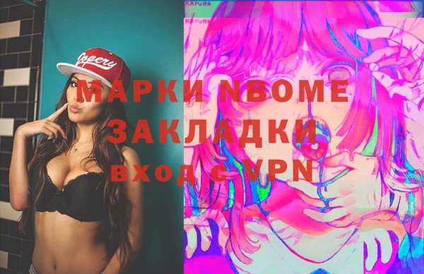 молекула духа Богородицк