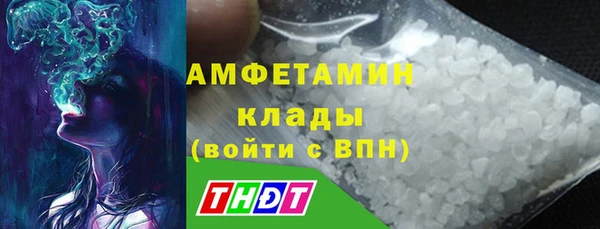 молекула духа Богородицк