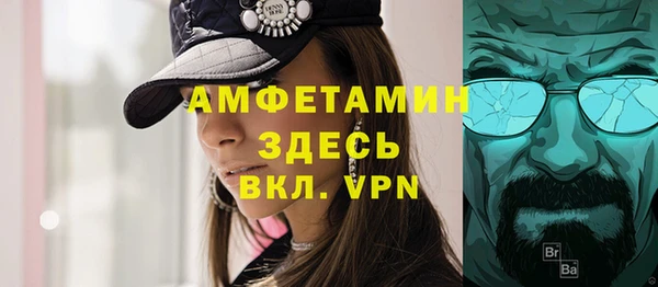молекула духа Богородицк