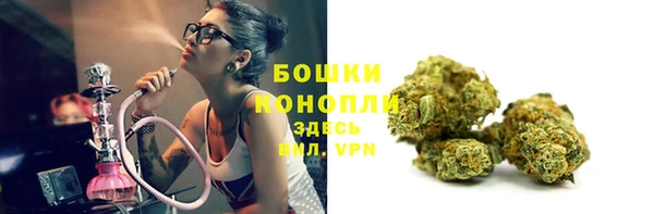 молекула духа Богородицк