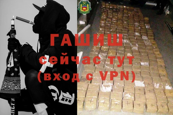 PSILOCYBIN Богданович
