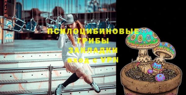 PSILOCYBIN Богданович