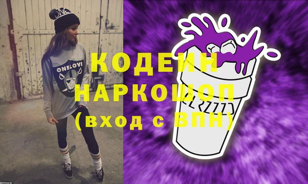 молекула духа Богородицк