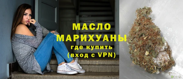 молекула духа Богородицк